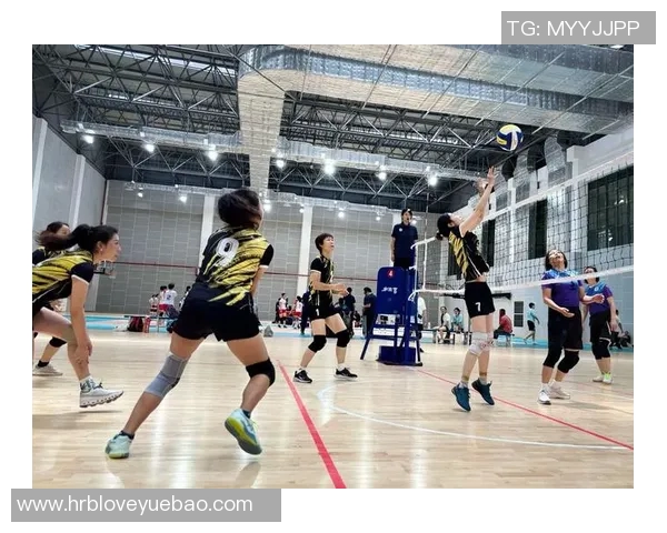 成都排球队荣登全国排球战术排行榜第四名引发热议